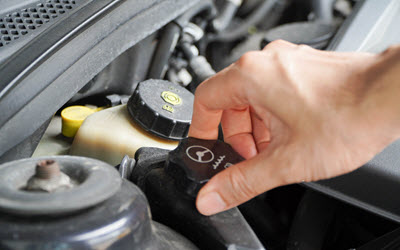 Ferrari Power Steering Fluid Check